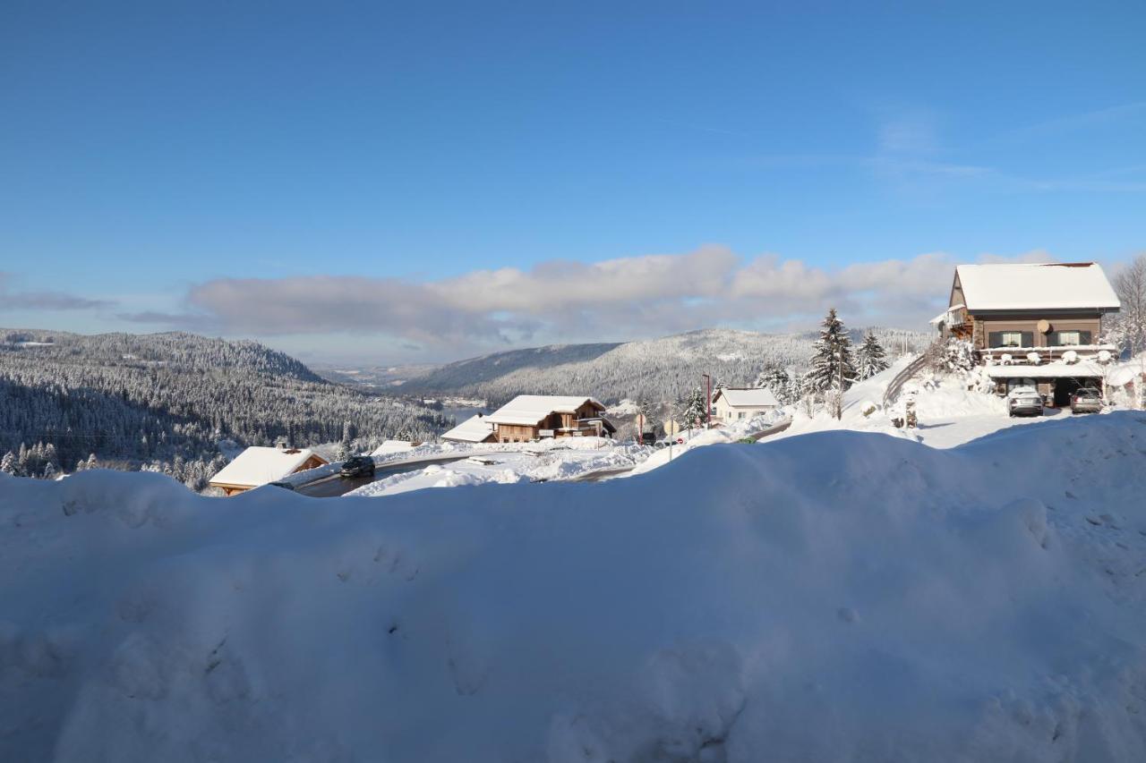 Apartment Location Les Balcons De La Mauselaine Gérardmer Екстериор снимка