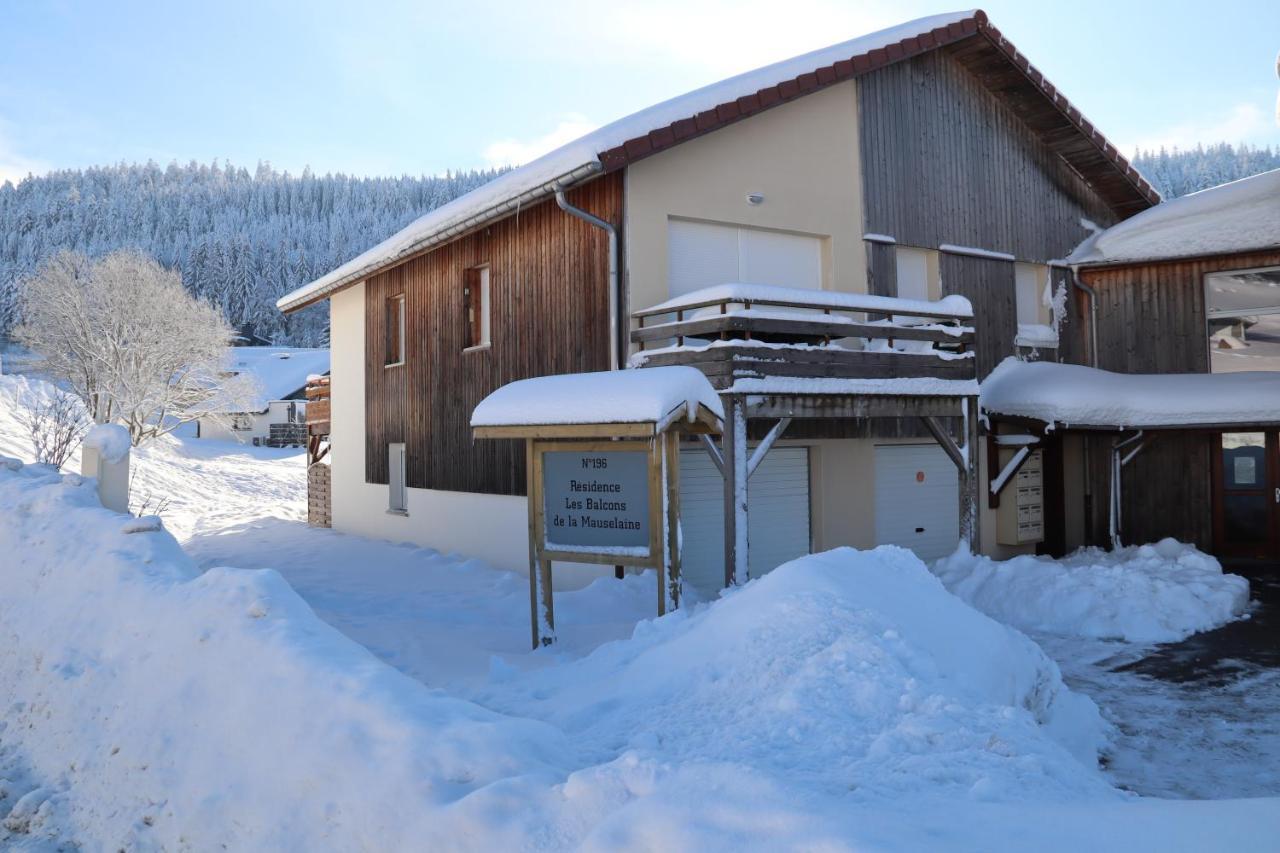 Apartment Location Les Balcons De La Mauselaine Gérardmer Екстериор снимка